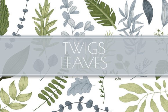 Vector Set Decorative Leaves and Twigs for Design